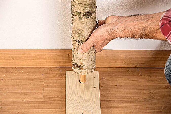 Birkenstamm wird mit einem Holzdübel in das untere Holzbrett des Raumteilers aus Birkenstämmen gesteckt