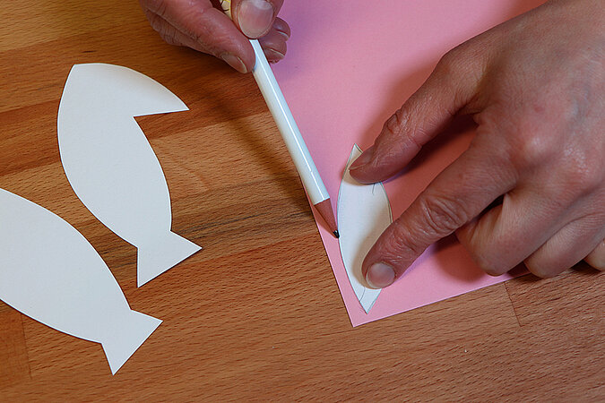 Mit weißem Stift wird eine schmale Ohrenform von einer Papierschablone auf rosa Tonpapier übertragen