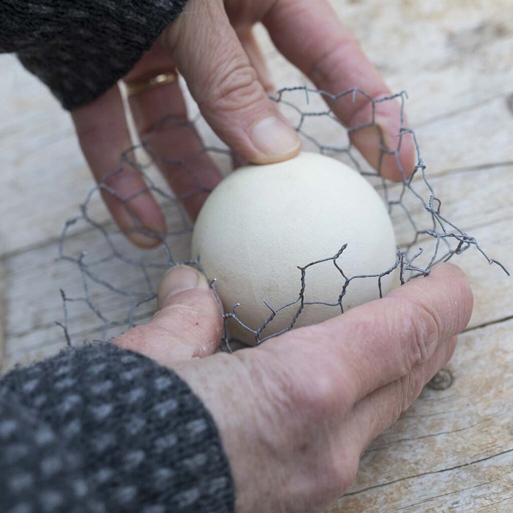 Meisenknödel Vogelfutter selber machen
