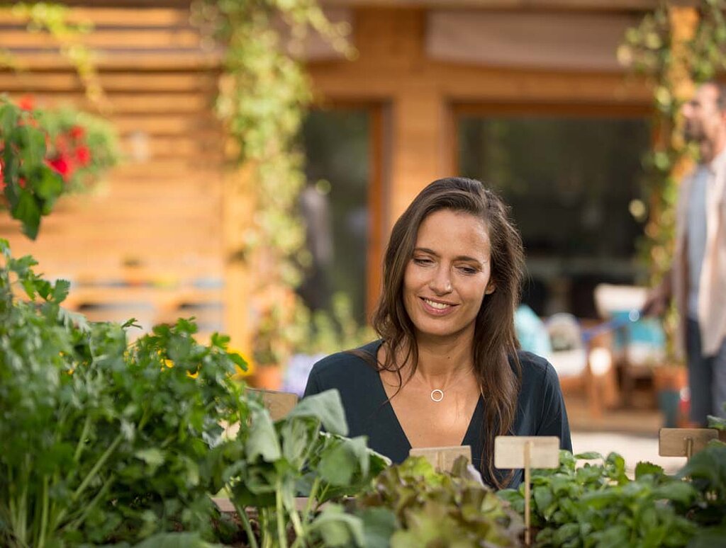 Gemüsegarten planen