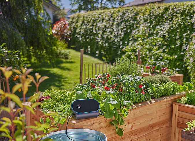 Hochbeet im Trend: Automatische Bewässerung versorgt Gemüse, Kräuter und Blumen zuverlässig mit Wasser