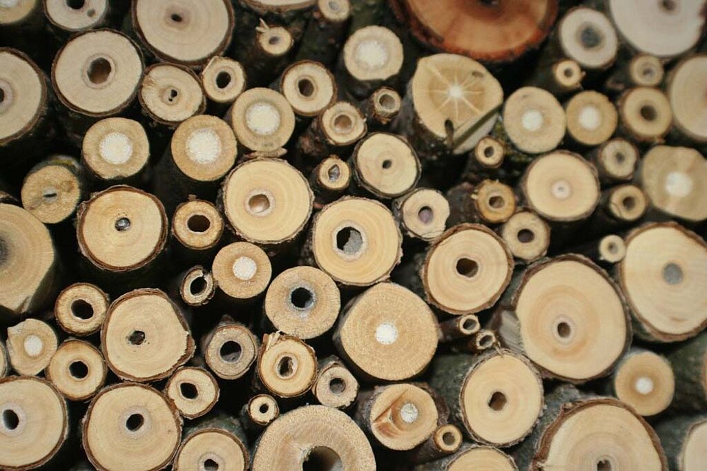 Insektenhotel Wildbienen Brutröhren