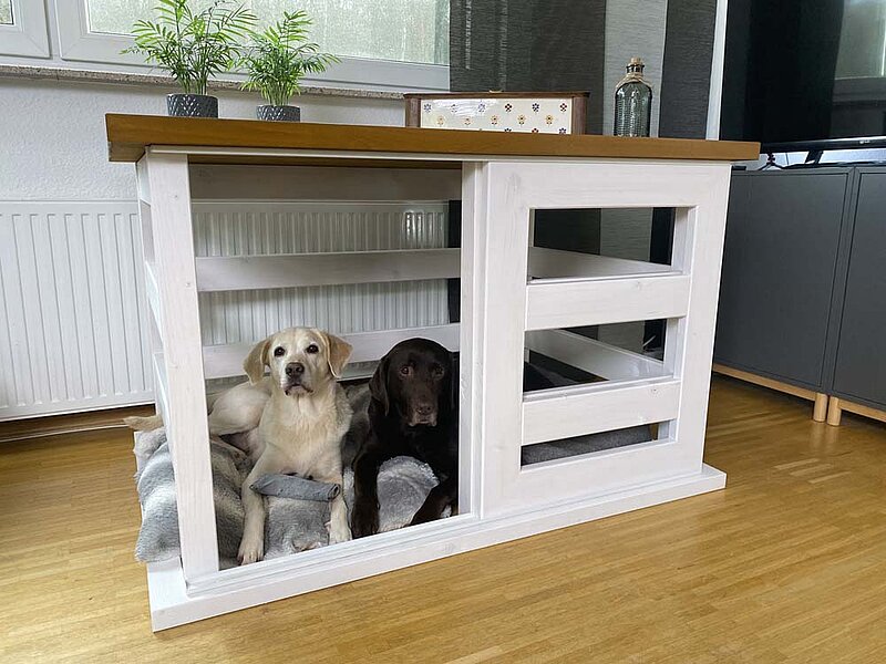 Große Hundebox mit Schiebetür bauen