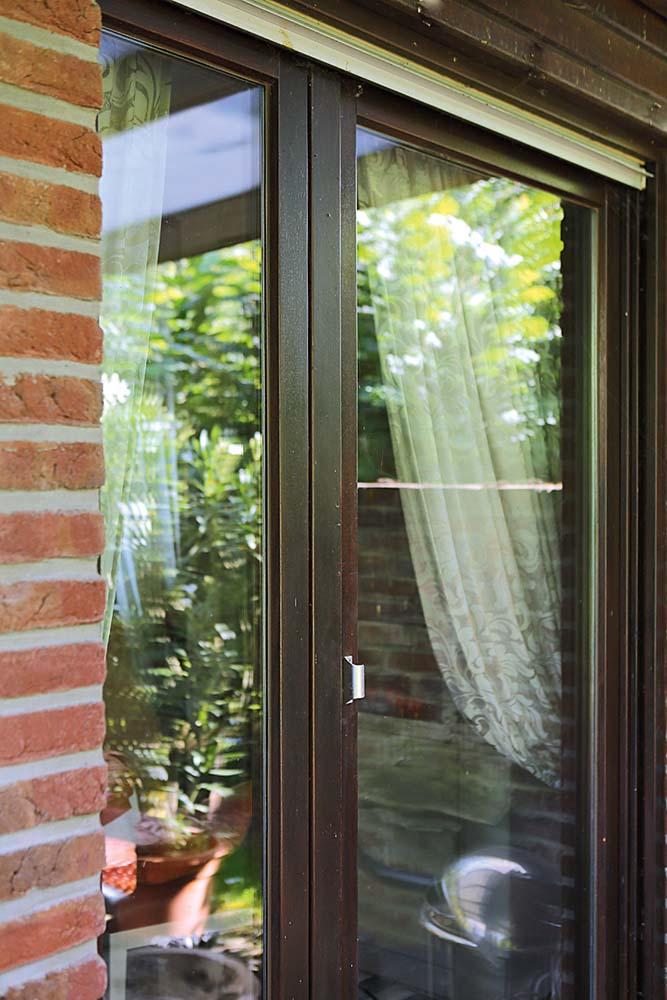 Vögel füttern Fenster Spiegel