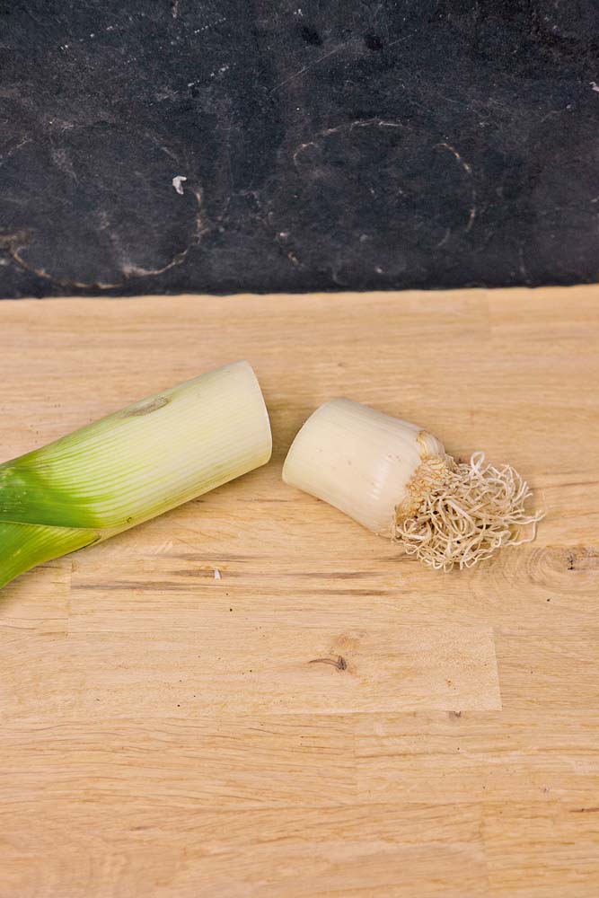 Gemüse vermehren Regrowing Lauch Porree